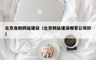 平阳北京自制网站建设（北京网站建设哪家公司好）