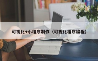 平阳可视化+小程序制作（可视化程序编程）